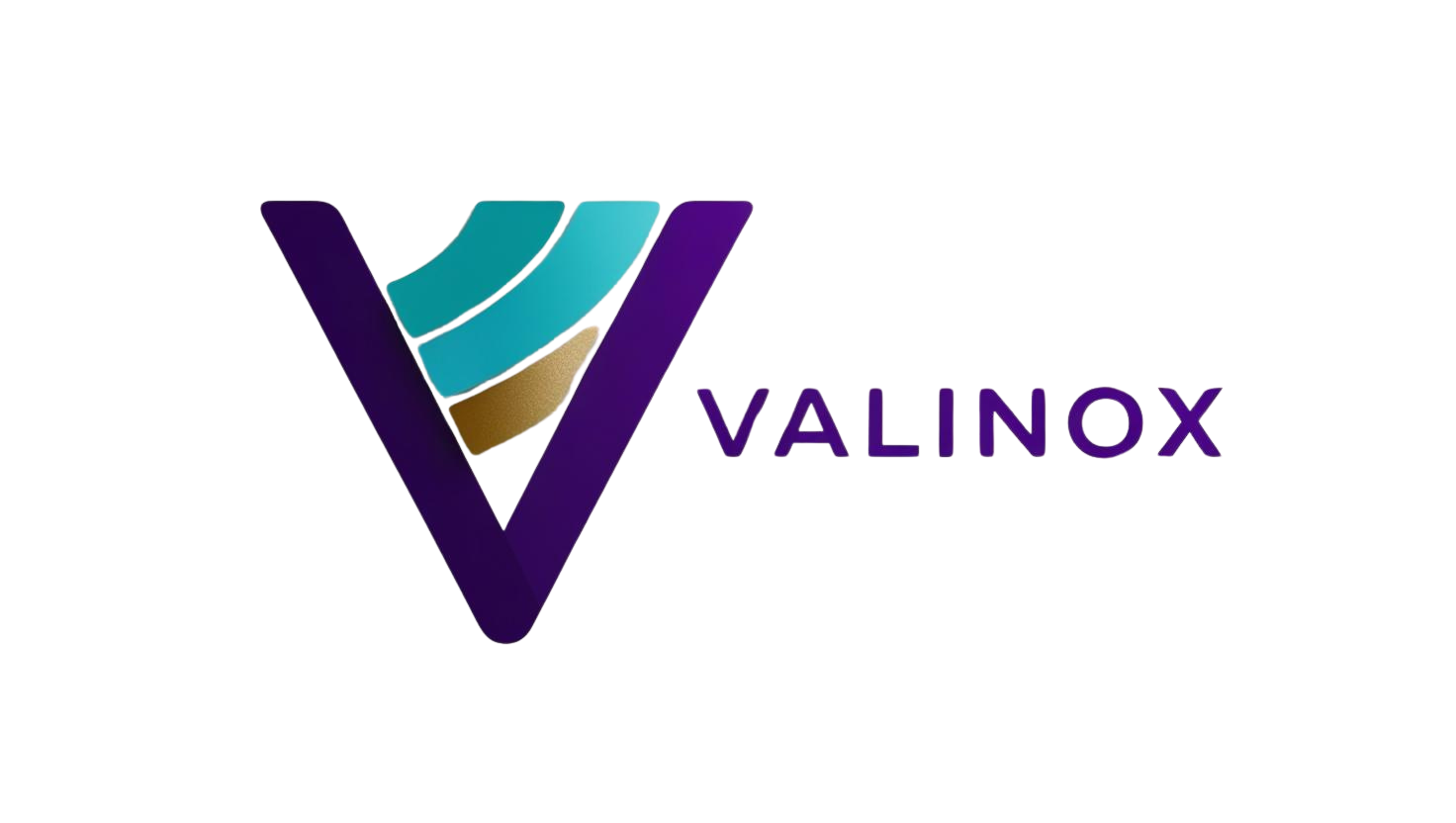 valinox logo